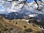 41 Vista panoramica sugli estesi pratoni di Monte Campo salendo sul sent. 217 al Laghetto di Pietra Quadra
